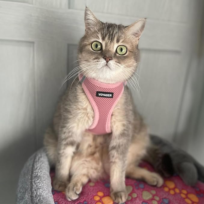 Voyager Step-In Air Dog Harness - All Weather Mesh, Reflective, No Pull Harness for Small, Medium Dogs, Cats - Secure with Hook & Loop Fastener, Buckle, Double D-Rings - Pink, XXS BestPetSuppliesLLC
