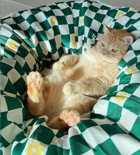 Premium Design Patent, Suitable for Multiple Cats to use at Once, Including cat Toys, cat Tunnel, cat mat, cat Tunnel Bed – Suitable for Small, Medium, and Large Cats. Cat Playground._Flower - PAWPICO