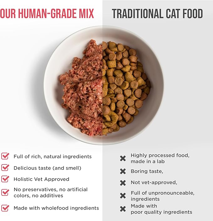 Know Better for Cats – Beef Recipe, RAW Cat Food Premix/Supplement for Making Homemade Cat Food, All Natural, Holistic Veterinarian Approved, Grain Free, No Artificial Additives - PAWPICO