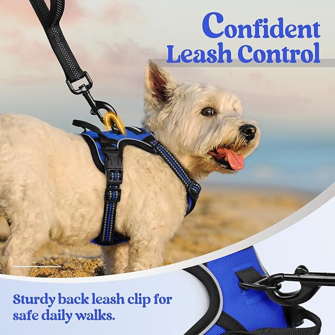 rabbitgoo Dog Harness No Pull with 2 Leash Clips, Adjustable Soft Padded, Reflective Oxford No Choke Pet Vest with Easy Control Handle for Puppy, Dazzling Blue,XS rabbitgoo