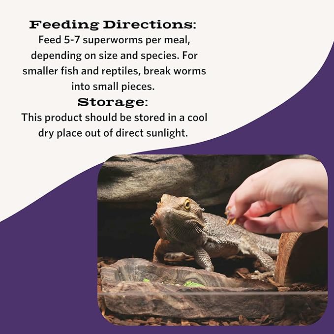 Fluker's Freeze Dried Superworms, for Reptiles, Ideal for Lizards, Reptiles, Birds, Fish, Hedgehogs, 1.7 oz Flukers