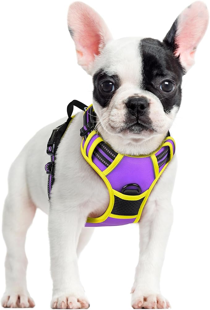 rabbitgoo Dog Harness No Pull with 2 Leash Clips, Adjustable Soft Padded, Reflective Oxford No Choke Pet Vest with Easy Control Handle for Small Dogs, Purple & Yellow, S rabbitgoo
