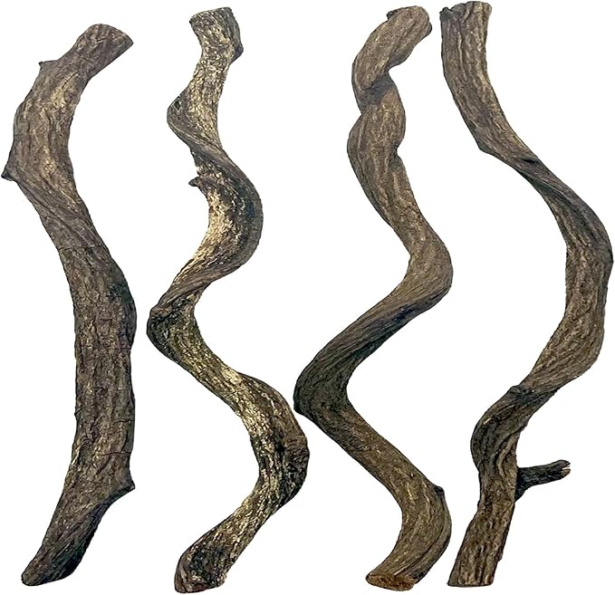 BNOSDM Reptile Forest Climbing Branch Decor Crested Gecko Climb Wood Natural Branches Tree for Snake Frog Chameleon Spider Bearded Dragon Terrarium Habitat Tank Accessories,4PCS BNOSDM
