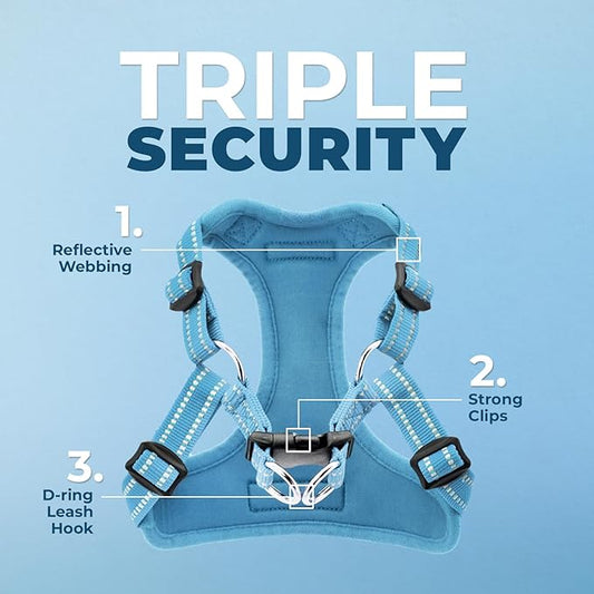 Best Pet Supplies Voyager Adjustable Dog Harness Leash Set with Reflective Stripes for Walking Heavy-Duty Full Body No Pull Vest with Leash D-Ring, Breathable All-Weather - Harness (Baby Blue), M BestPetSuppliesLLC