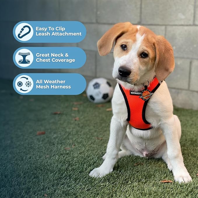 Voyager Step-in Air Dog Harness - All Weather Mesh, Reflective, No Pull Harness for Small, Medium Dogs, Cats - Secure with Hook & Loop Fastener, Buckle, Double D-Rings - Orange/Black Trim, XXXS BestPetSuppliesLLC