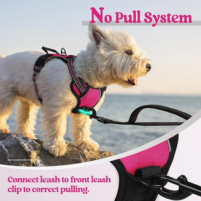 rabbitgoo Dog Harness No Pull with 2 Leash Clips, Adjustable Soft Padded, Reflective Oxford No Choke Pet Vest with Easy Control Handle for Puppy, Hot Pink, XS rabbitgoo
