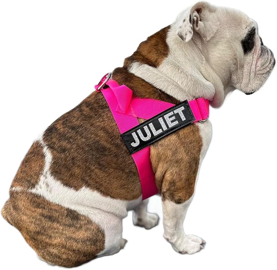BULLHUG Harness – Made for Larger Chested Dogs Like English Bulldogs, French Bulldogs, Pugs & More. Stops Dogs from Pulling & Choking on Walks (NEON Pink, XL) BULLHUG