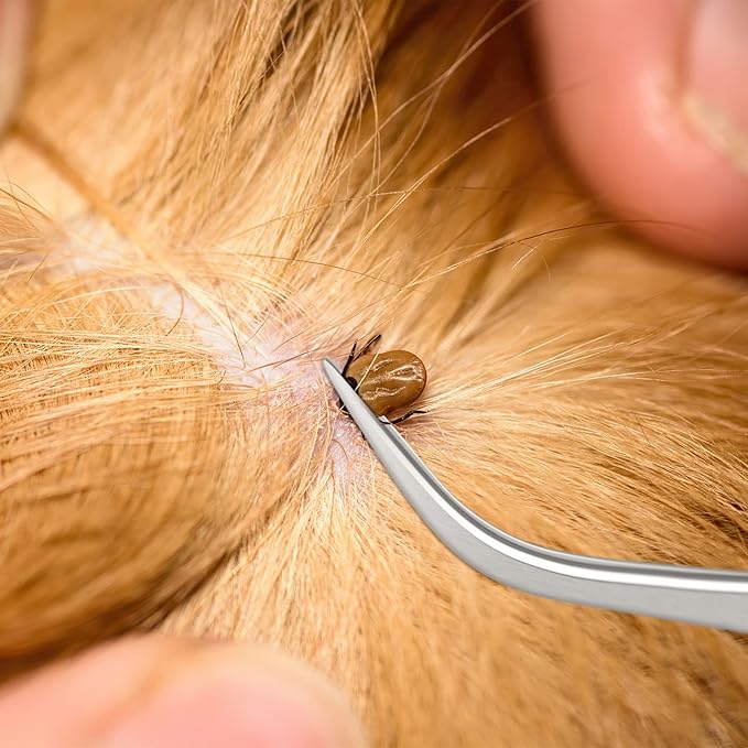 Rypet Tick Remover Tool Set - Stainless Steel Tick Remover Kit for Cats Dogs and Humans(Pack of 3) - PAWPICO