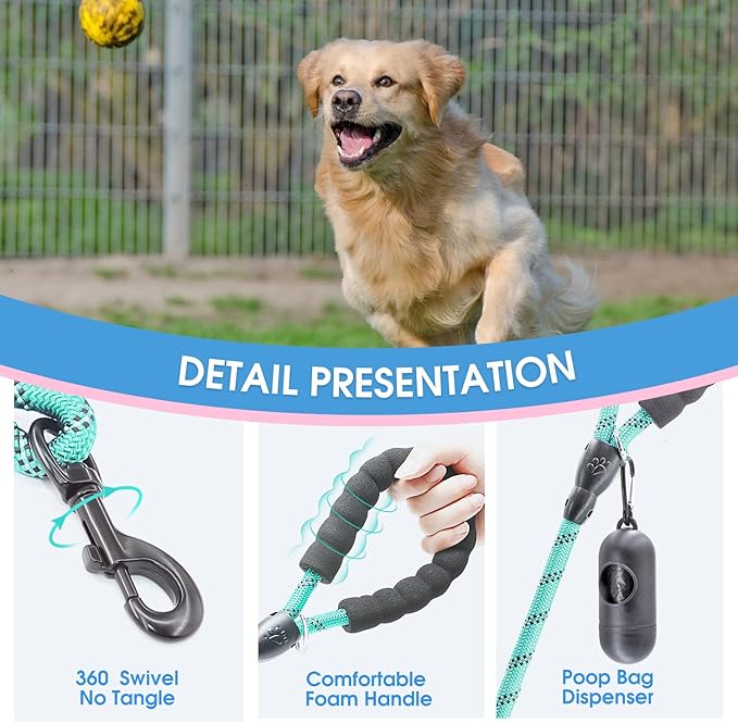 BAAPET 2/4/5/6 FT Dog Leash with Comfortable Padded Handle and Highly Reflective Threads for Small Medium and Large Dogs (6FT-1/2'', Turquoise) BAAPET