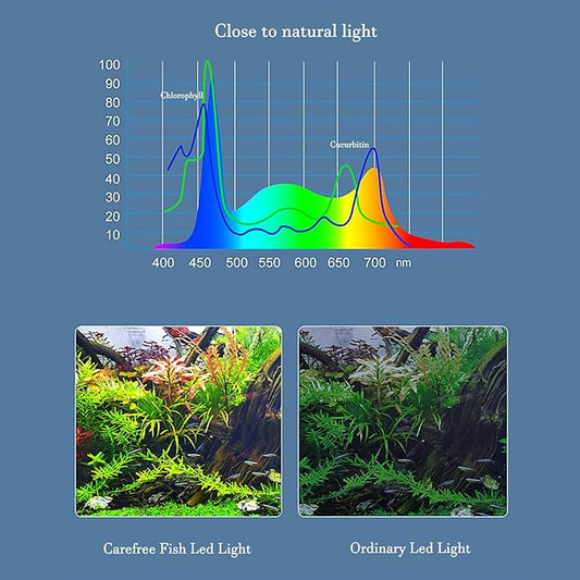 Carefree Fish Aquarium LED Light USB 5V RGBW 5730 Timmer 5~20Gal Fish Tank Clip Light for Rimless Tank 10 Brightness Levels 13W with USB Port (Include Power Adapter) Bewatermyfriend