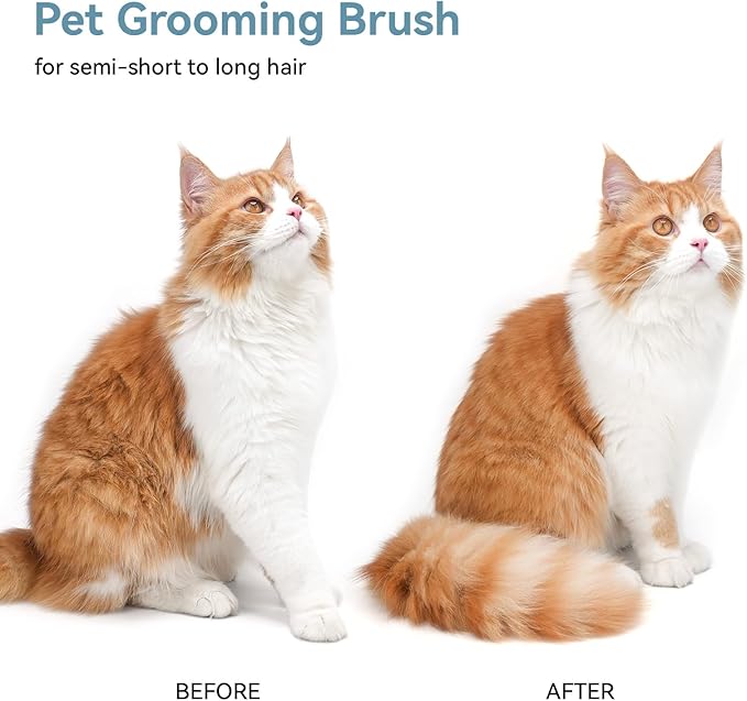 aumuca Cat Brush Dog Brush for Shedding Grooming, Cat Brushes for Indoor Cats, Slicker Cat Fur Brush Dog Comb with Release Button, Dog Grooming Brush Pet Brush for Semi-Short to Semi-Long Hair, Green - PAWPICO