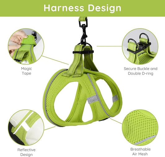 BELLA & PAL Puppy Harness with Leash Set, Dog Harness for Small Dogs No Pull, Dog Leash for Small Dogs, Step in Harness for Extra Small Dogs, Avocado Green Harness, XS BELLAPAL