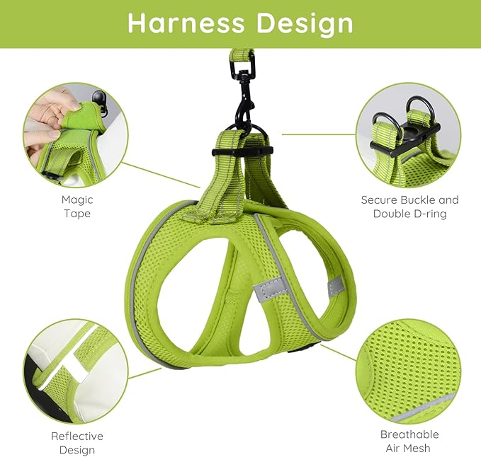 BELLA & PAL Puppy Harness with Leash Set, Dog Harness for Small Dogs No Pull, Dog Leash for Small Dogs, Step in Harness for Extra Small Dogs, Avocado Green Harness, XXS BELLAPAL