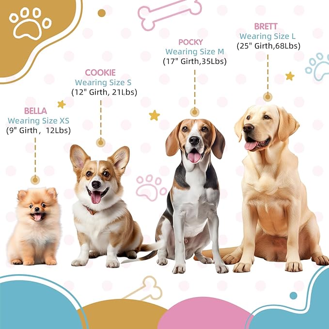Tri-Color Harness for Medium Dog, Adjustable Step-in Design No Pull Dog Harness No Pull, Heavy Duty Puppy Harness, Easy Walk Medium Size Dog,M: 3/4''''W x Chest 19''- 25'''' Pawhuggies