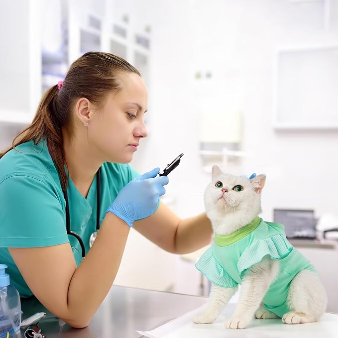 Avont Cat Recovery Suit - Post-Surgery Onesie for Cats, Alternative to Cone of Shame, Protective Spay Suit for Female Kitten, Ideal for Healing and Skin Conditions -Mintgreen(S) Avont