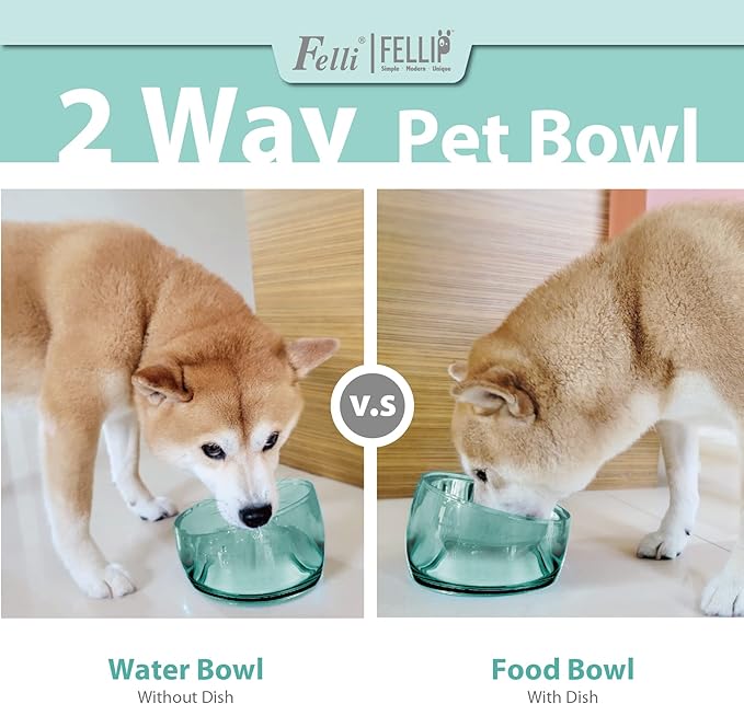 Felli Pet Oblik Spill Proof Dog Food Bowl Raised with Acrylic Cone, Slanted Stainless Steel Oval Dish Pet Friendly Design, Angled Metal Feeder Elevated Non Slip for Frenchie Bulldog (1.5Cup, Classic) - PAWPICO