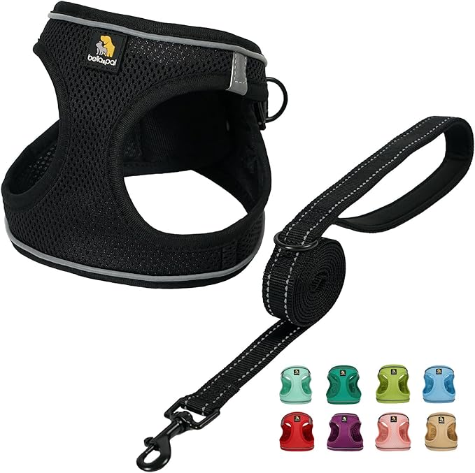 BELLA & PAL Puppy Harness with Leash Set, Dog Harness for Small Dogs No Pull, Dog Leash for Small Dogs, Step in Harness for Extra Small Dogs, Black Harness, XS BELLAPAL