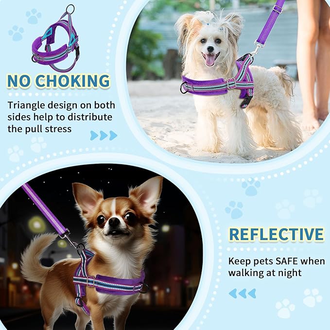 SlowTon No Pull Small Dog Harness and Leash Set, Puppy Soft Vest Harness Neck & Chest Adjustable, Reflective Lightweight Harness & Anti-Twist Pet Lead Combo for Small Medium Dogs (PU-Front Clip, XXS) SlowTon