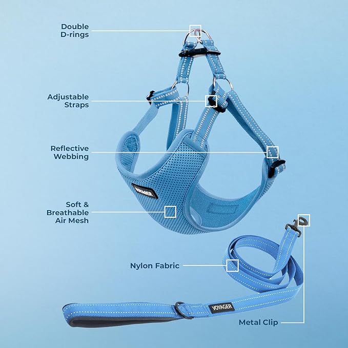 Best Pet Supplies Voyager Adjustable Dog Harness Leash Set with Reflective Stripes for Walking Heavy-Duty Full Body No Pull Vest with Leash D-Ring, Breathable All-Weather - Harness (Baby Blue), M BestPetSuppliesLLC