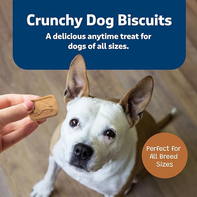 Blue Buffalo Health Bars Crunchy Dog Biscuits, Oven-Baked With Natural Ingredients, Pumpkin & Cinnamon, 16-oz Bag - PAWPICO