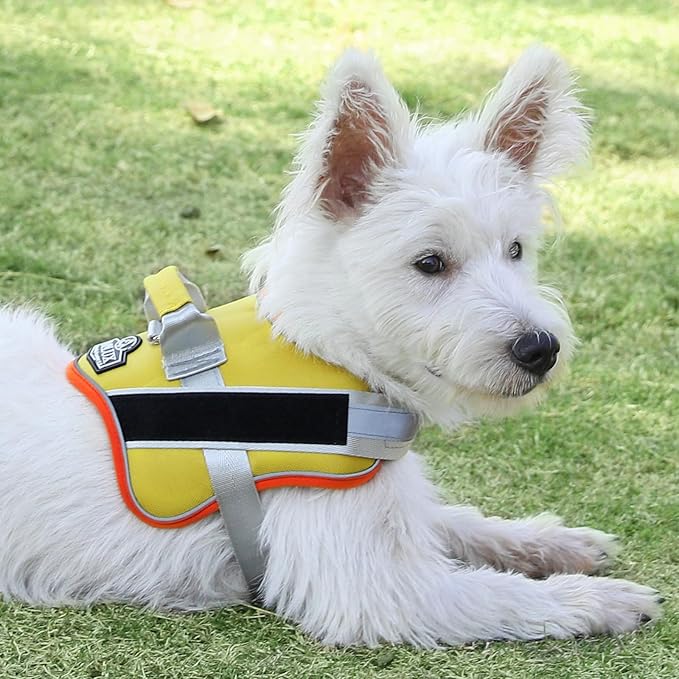 Bolux Dog Harness, No-Pull Reflective Dog Vest, Breathable Adjustable Pet Harness with Handle for Outdoor Walking - No More Pulling, Tugging or Choking (X-Large (Pack of 1), YellowOrange) Bolux