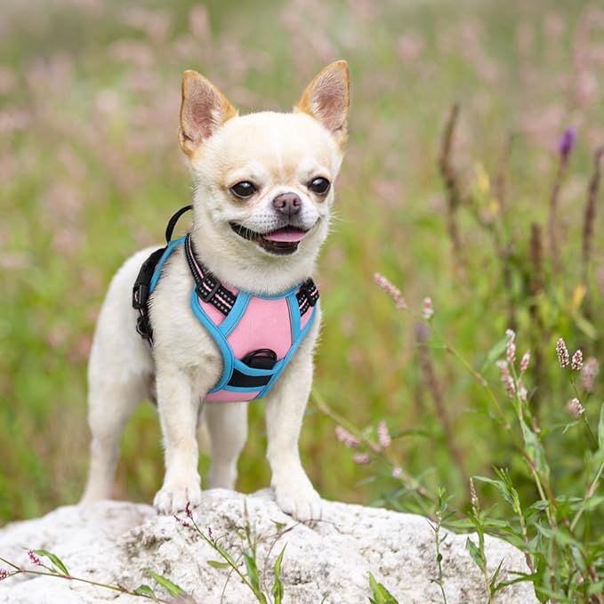 rabbitgoo Dog Harness No Pull with 2 Leash Clips, Adjustable Soft Padded, Reflective Oxford No Choke Pet Vest with Easy Control Handle for Puppy, Pink & Blue, XS rabbitgoo