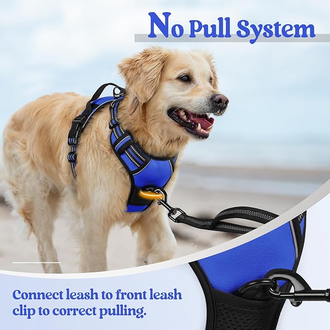 rabbitgoo Dog Harness No Pull with 2 Leash Clips, Adjustable Soft Padded, Reflective Oxford No Choke Pet Vest with Easy Control Handle for Medium Sized Dogs, Dazzling Blue, M rabbitgoo