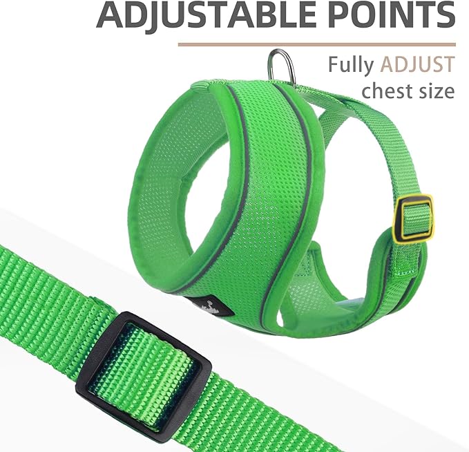 PUPTECK Soft Mesh Dog Harness and Leash Set Pet Puppy Cat Comfort Padded Vest No Pull Harnesses, Solid Green, M PUPTECK