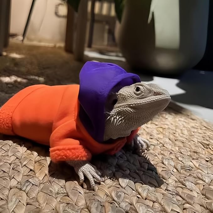 Lizards Clothes for Bearded Dragon - Handmade Cotton Hoodies Warm Sweater Coat Reptiles Apparel Costume Skin Protection Photo for Lizard Bearded Dragon Crested Gecko Chameleon (Orange,Large) SEZDEKI