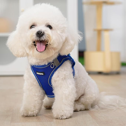 AIITLE No Pull Dog Harness and Leash Set, Step in Adjustable Dog Harness with Padded Vest for All Weather, Dog Leash with Soft Padded Handle, Easy to Put on Small and Medium Dogs Royal Blue S AIITLE-FORPETSBETTERLIFE