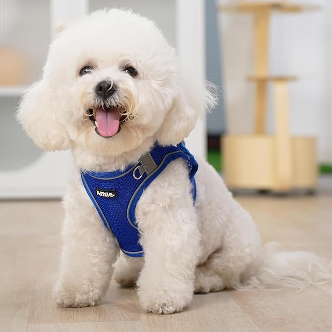 AIITLE Small Harness for Puppy with A Leash - Spring Dog Vest Harness with Super Breathable Mesh, Reflective No-Pull Pet Harness for Outdoor Walking, Camping for Small Dogs, Cats Royal Blue XXS AIITLE-FORPETSBETTERLIFE