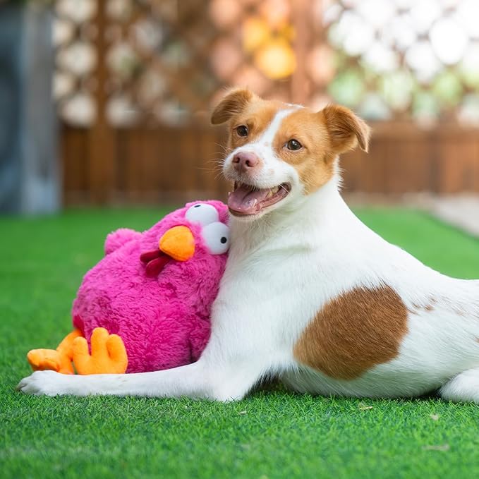 Best Pet Supplies Mrs. Cluck Interactive Squeaky Plush Toy for Small and Medium Breed Puppies or Dogs – Mrs. Cluck (Fuchsia) - PAWPICO