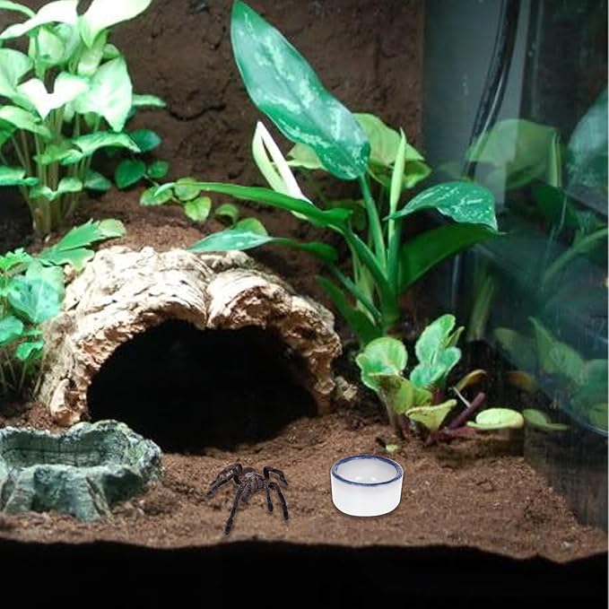 6 Pcs Spider Mini Water Bowl Tarantula Micro Ceramic Water Dish for Spider Tarantula Millipede Tiny Reptile Scorpion Cricket Snail Manti Bugs PAWPICO