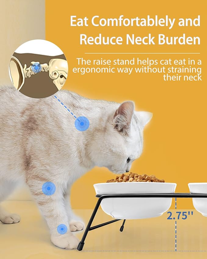 3 Cat Food Bowls Ceramic 13 oz Upgraded with Stainless Steel Stand Non-Slip and Anti-Rust Elevated Raised Cat Bowls for Food and Water, Pet Dishes Bowl for Indoor Cats and Puppy, Dishwasher Safe - PAWPICO