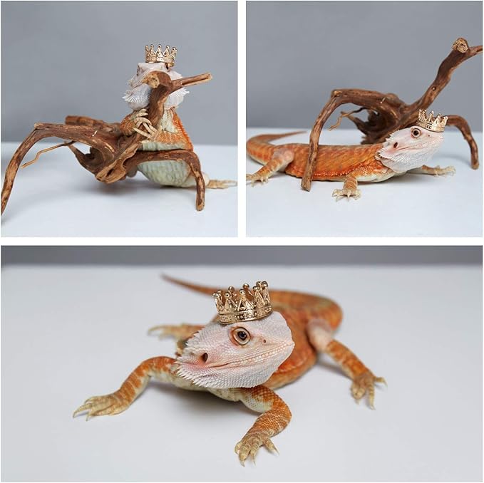 HAICHEN TEC Lizard Crown Lizard Clothes Accessories Gold Alloy Crown Cool Reptile Costume Photo Props Party Jewelry Lizard Clothes for Bearded Dragons Leopard Gecko Iguana Amphibians (Crown) HAICHENTEC