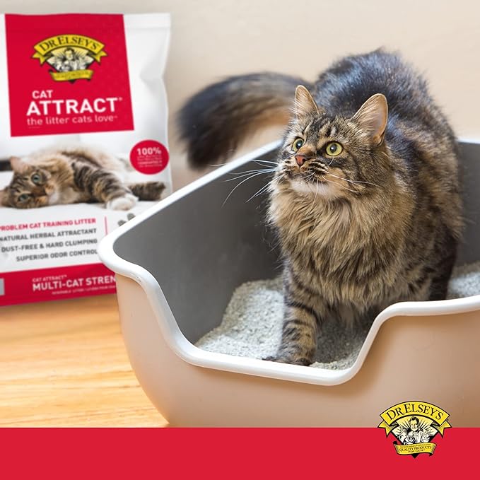 Dr. Elsey's Cat Litter Cat Attract - Unscented Natural Herbal Cat litter - Superior Odor Control Cat Litter - Low Dust & Low Tracking Unscented Cat Litter w/ Herbal Attractant (18lbs) - PAWPICO