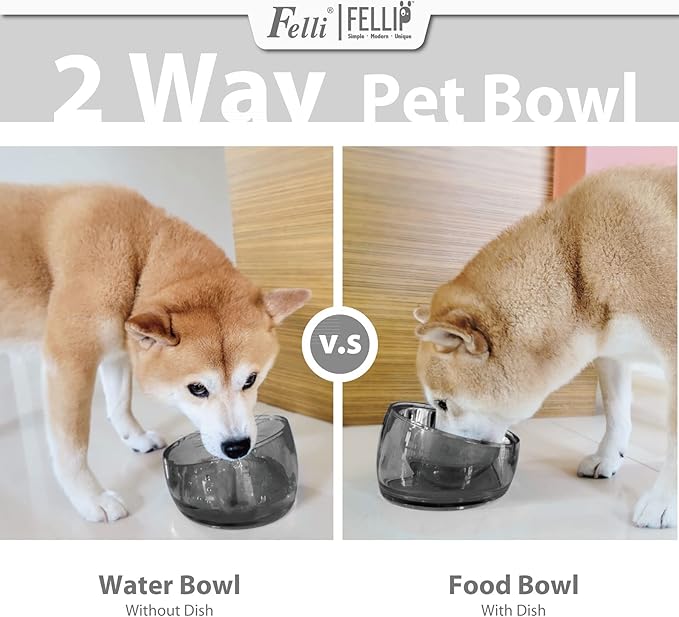 Felli Pet Oblik Spill Proof Dog Food Water Bowl Raised Acrylic Cone, Stainless Steel Tilted Oval Dish Pet Friendly, Slanted Metal Plate Feeder Elevated for Small Medium Size Dog (1.5Cup, Smoky) - PAWPICO
