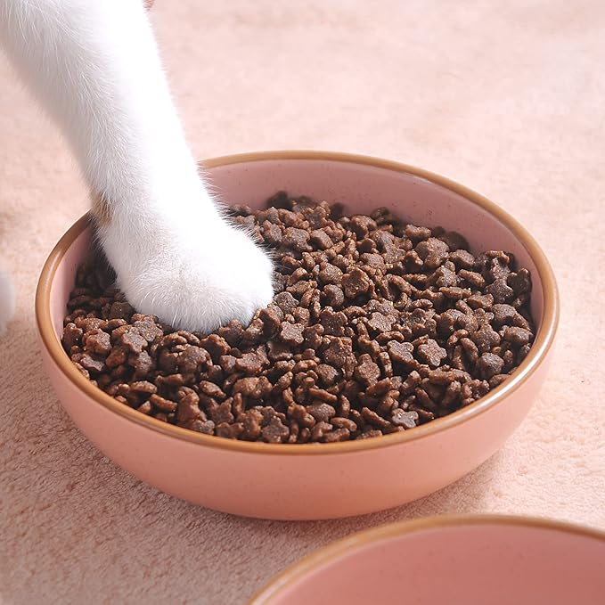 Ceramic Cat Bowls, Howise Pet Bowl Cat Dishes for Food and Water, 5.19 in Cat Food Bowl 3 Pack Pet Dishes for Cats Puppy, Matte Pink Finish - PAWPICO