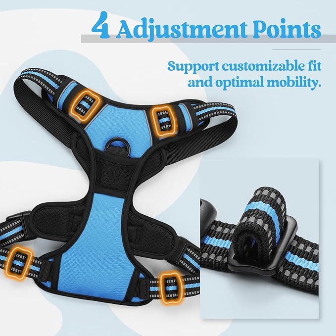 rabbitgoo Dog Harness No Pull with 2 Leash Clips, Adjustable Soft Padded, Reflective Oxford No Choke Pet Vest with Easy Control Handle for Small Dogs, Blue, S rabbitgoo