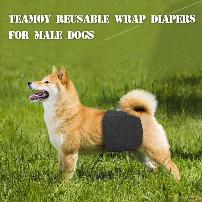 Teamoy 3pcs Reusable Wrap Diapers for Male Dogs, Washable Puppy Belly Band (S, 10"-13" Waist, Black+ Gray+ Blue) - PAWPICO