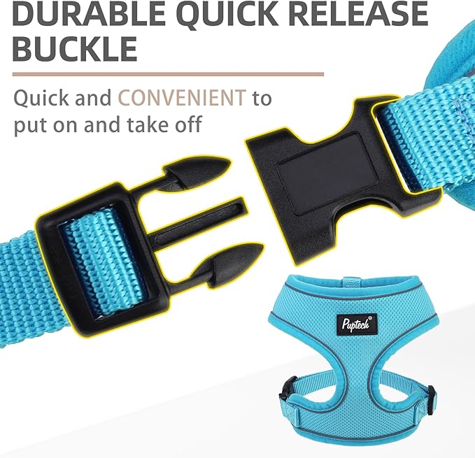 PUPTECK Soft Mesh Dog Harness and Leash Set Pet Puppy Cat Comfort Padded Vest No Pull Harnesses, Solid LightBlue, M PUPTECK