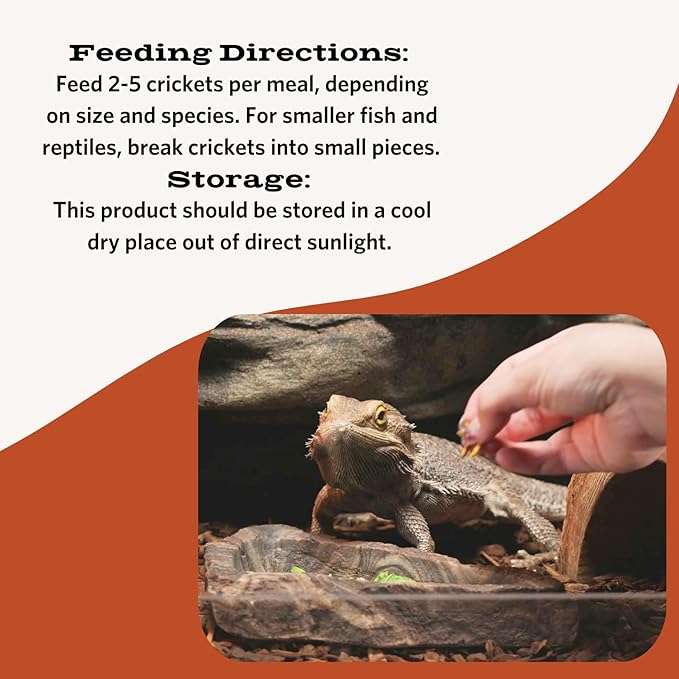 Fluker's Freeze Dried Crickets, Ideal for Reptiles, Birds, and Fish, Packed with Protein and Essential Nutrients, 1.2 oz Flukers