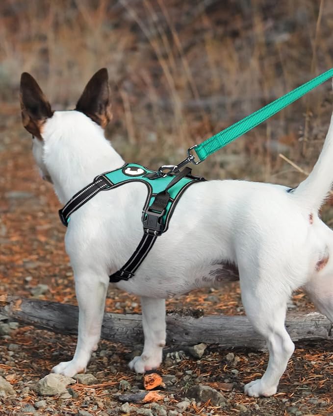 Joytale Double-Sided Reflective Dog Leash, 6 FT/5 FT/4 FT, Padded Handle Nylon Heavy Duty Leashes for Small & Medium Dogs Walking, Teal, 4FT Joytale