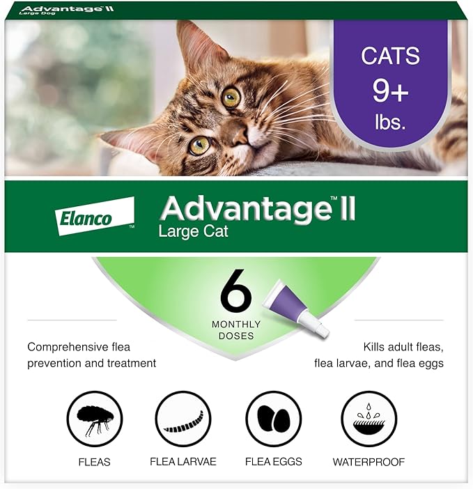 Advantage II Large Cat Vet-Recommended Flea Treatment & Prevention | Cats Over 9 lbs. | 6-Month Supply Advantage