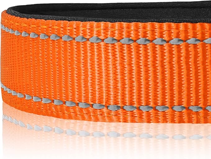 Joytale Dog Collar,Soft Neoprene Padded Breathable Nylon Pet Collar Adjustable for Large Dogs,Orange,L - PAWPICO