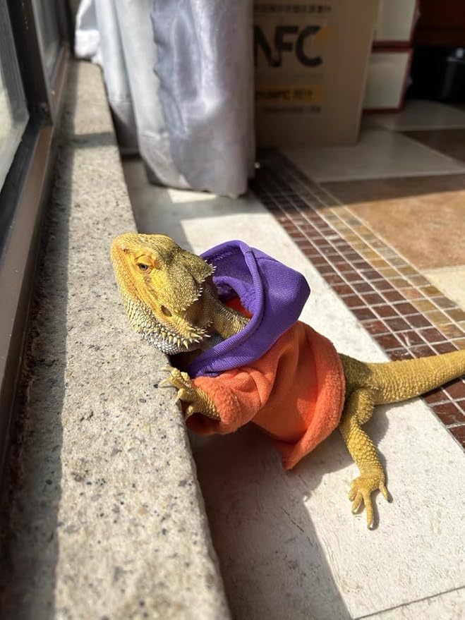 Lizards Clothes for Bearded Dragon - Handmade Cotton Hoodies Warm Sweater Coat Reptiles Apparel Costume Skin Protection Photo for Lizard Bearded Dragon Crested Gecko Chameleon (Orange,Large) SEZDEKI