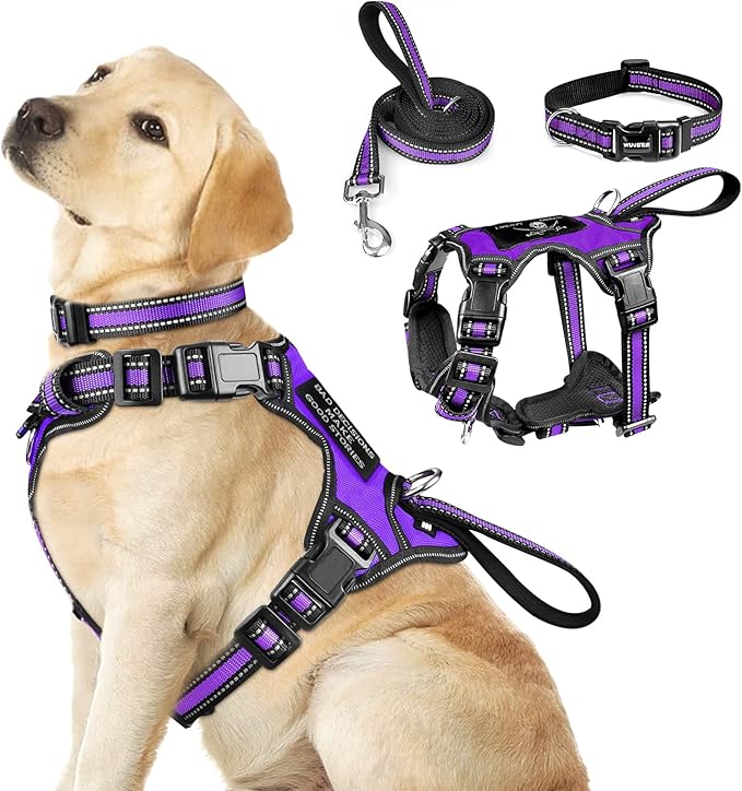 WINSEE Pet Harness Collar and Leash Set, All-in-one Reflective Dog Harness No Pull with Adjustable Buckles for Puppies, Small, Medium, Large, and Extra-Large Dogs (Large, Purple) WINSEE