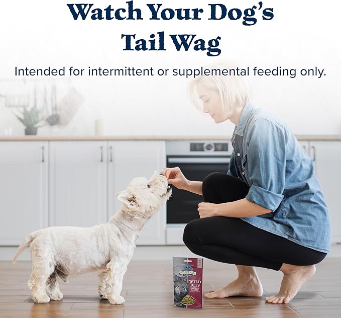 Blue Buffalo Wilderness Wild Bits Soft & Chewy Training Treats for Dogs, Grain-Free, Salmon Recipe, 4-oz. Bag - PAWPICO