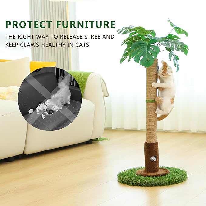 Cat Scratching Post for Indoor Cats and Kitten - 35.43" Tall Cat Scratching Post with Sisal Rope,Palm Tree Cat Scratch Post with Hanging Ball - PAWPICO