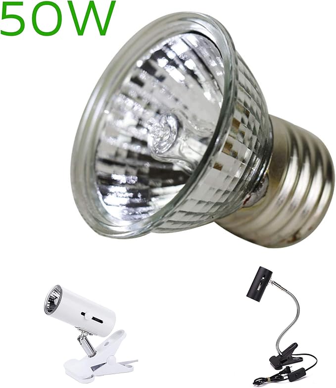 CALPALMY 4-Pack 50W UVA+UVB Bulbs | Heat and Light for Reptiles and Amphibian Tanks, Terrariums and Cages | Works with Various Lamp Fixtures CalPalmy